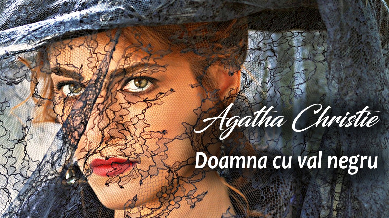 Afișul pentru Doamna cu val negru
