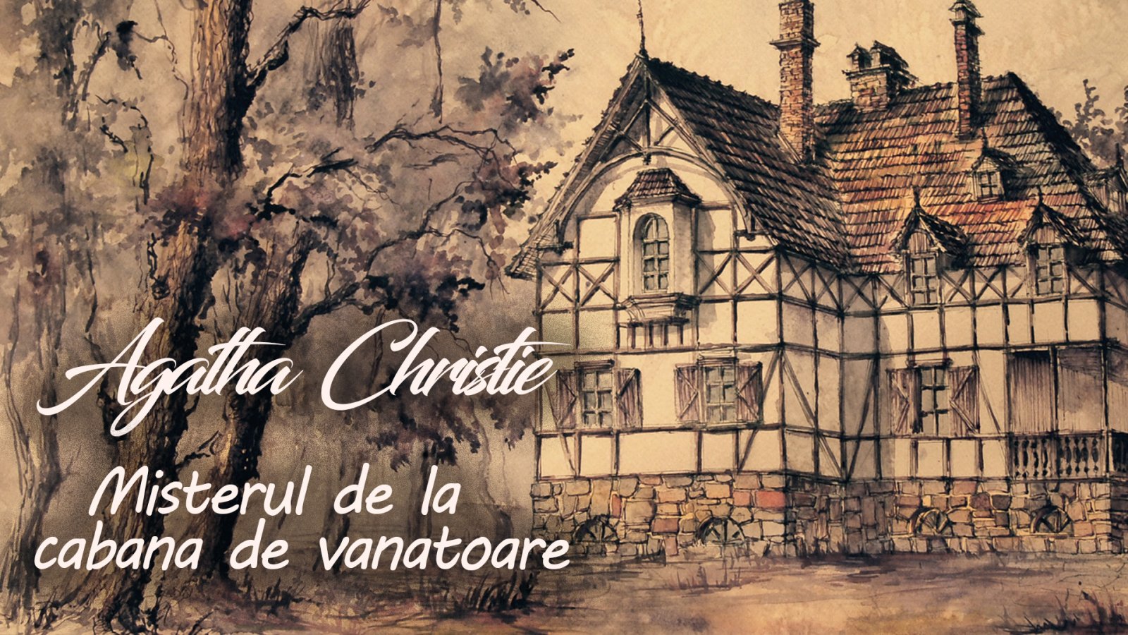 Afișul pentru Misterul de la cabana de vanatoare