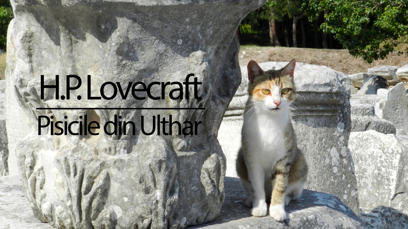 Afișul pentru Pisicile din Ulthar
