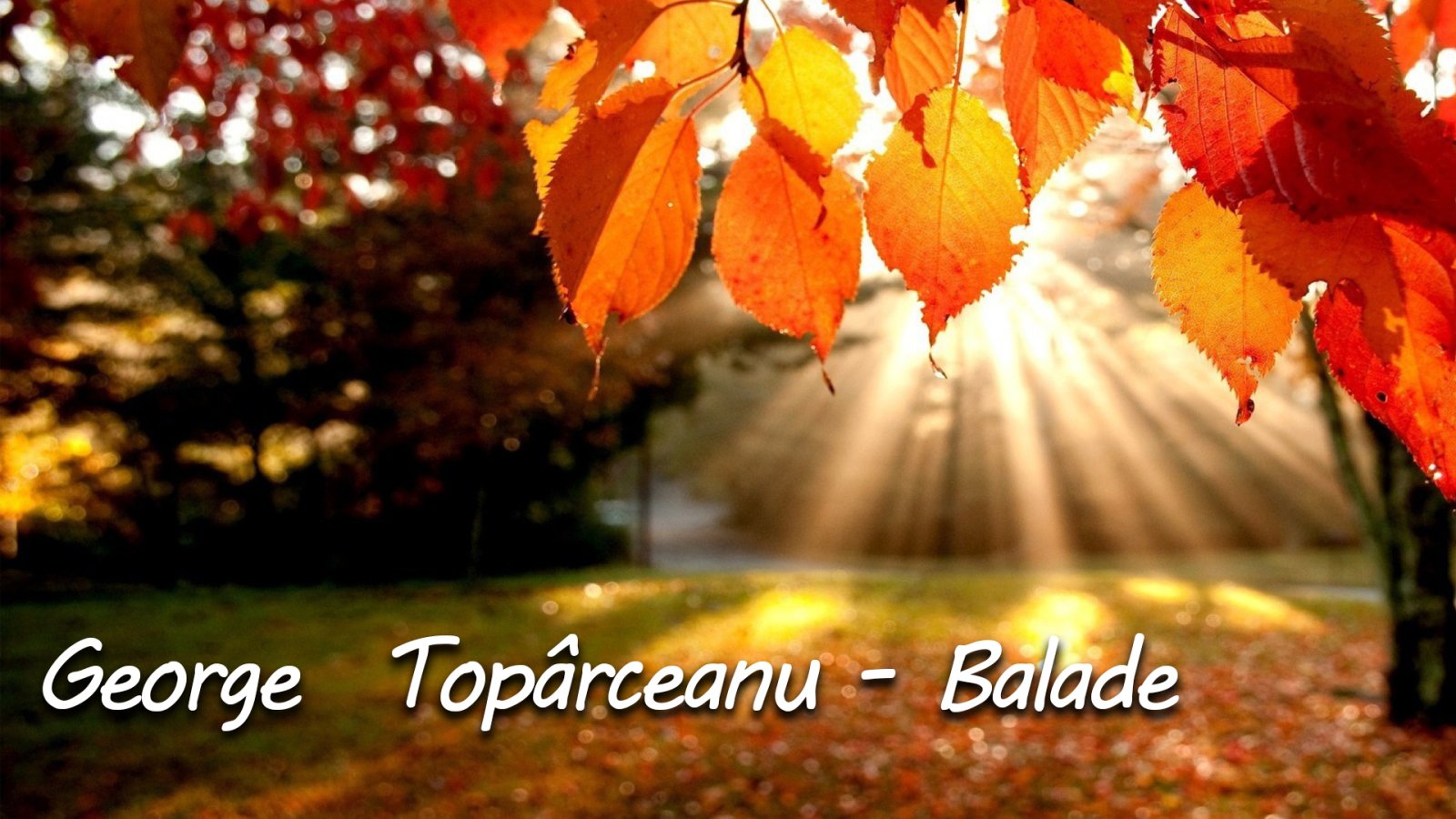 Afișul pentru Poezii si balade