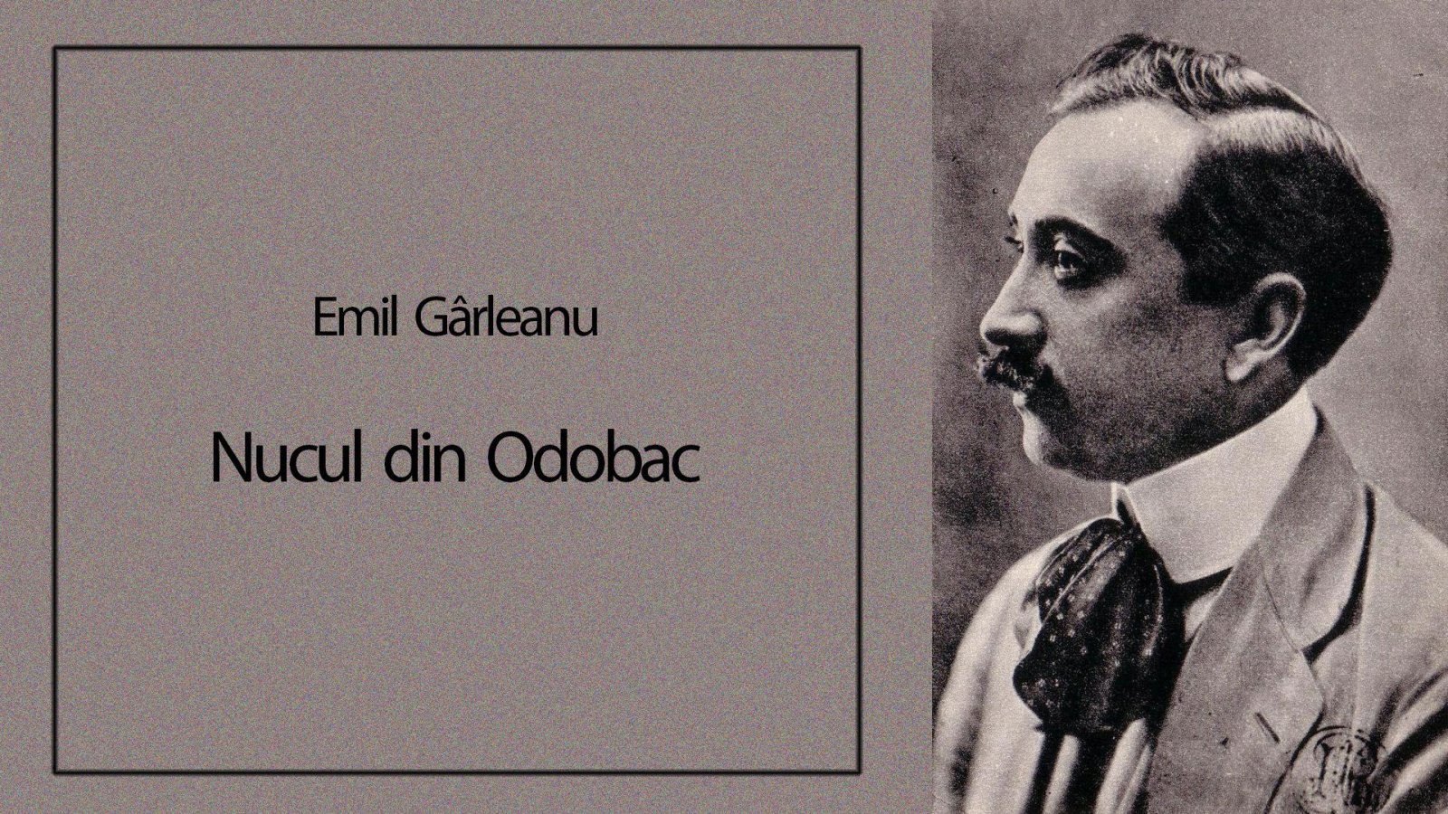 Afișul pentru Nucul lui Odobac