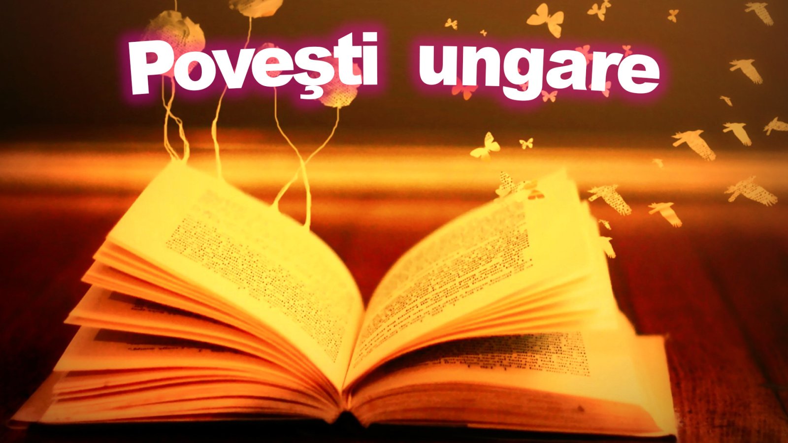 Afișul pentru Povesti ungare