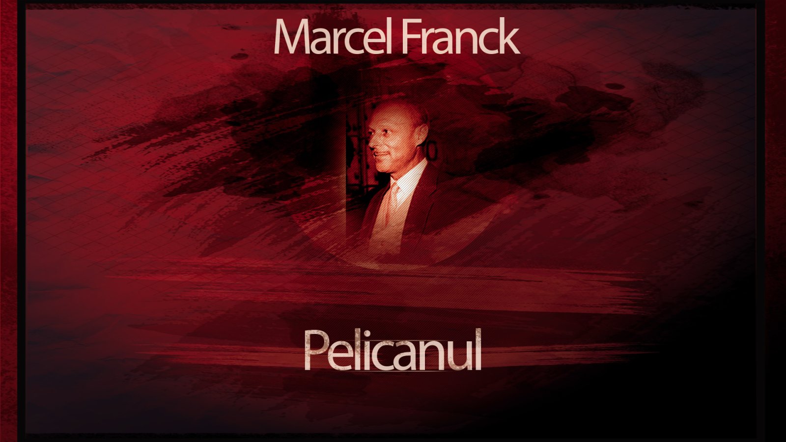 Afișul pentru Pelicanul
