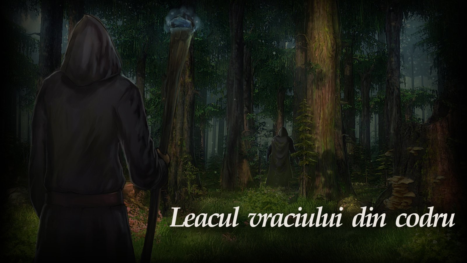 Afișul pentru Leacul vraciului din codru