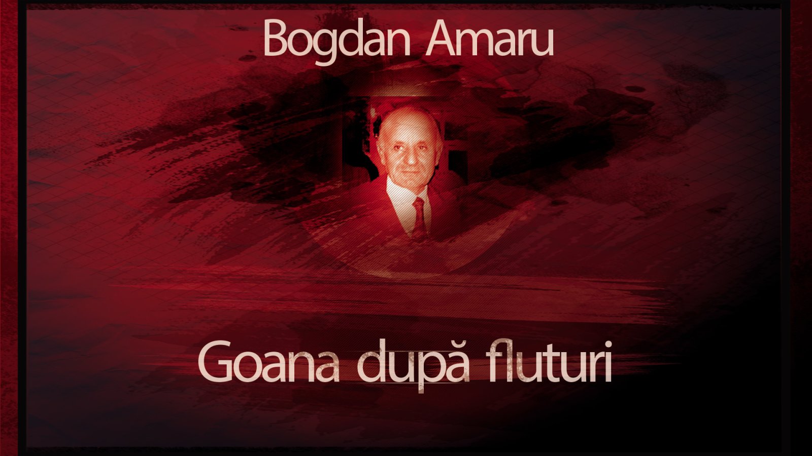 Afișul pentru Goana dupa fluturi