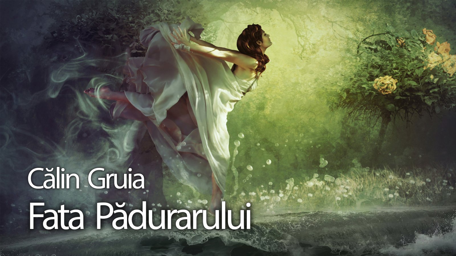 Afișul pentru Fata padurarului