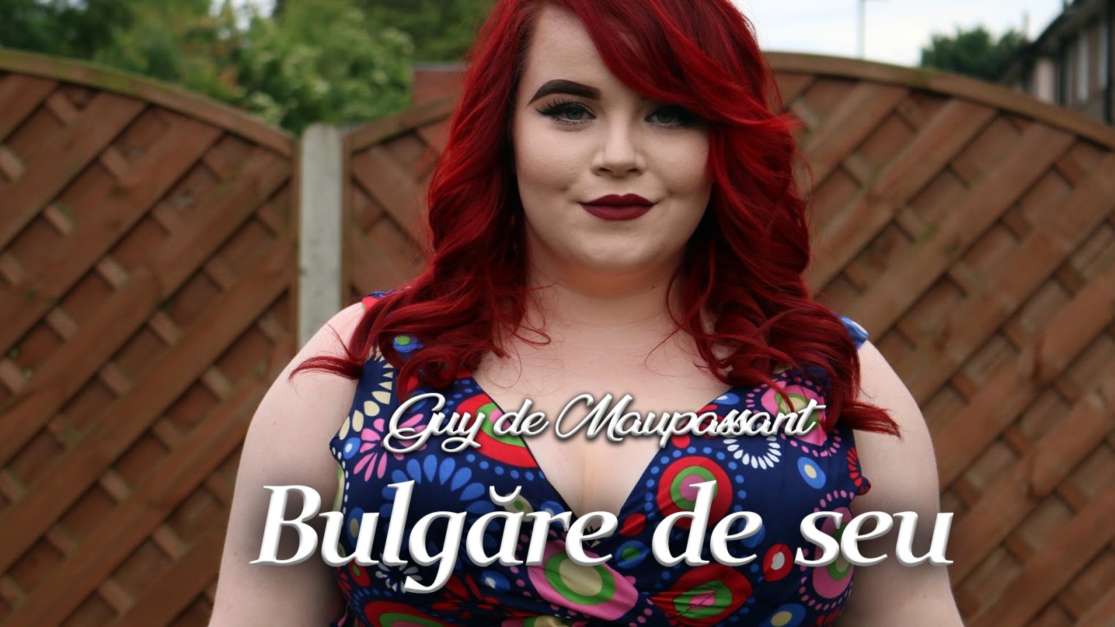Afișul pentru Bulgare de seu
