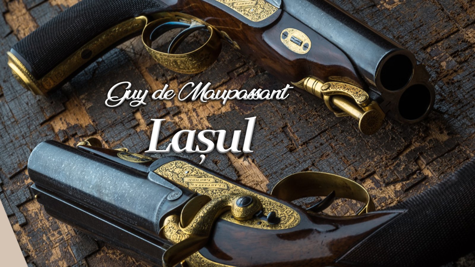 Afișul pentru Lasul