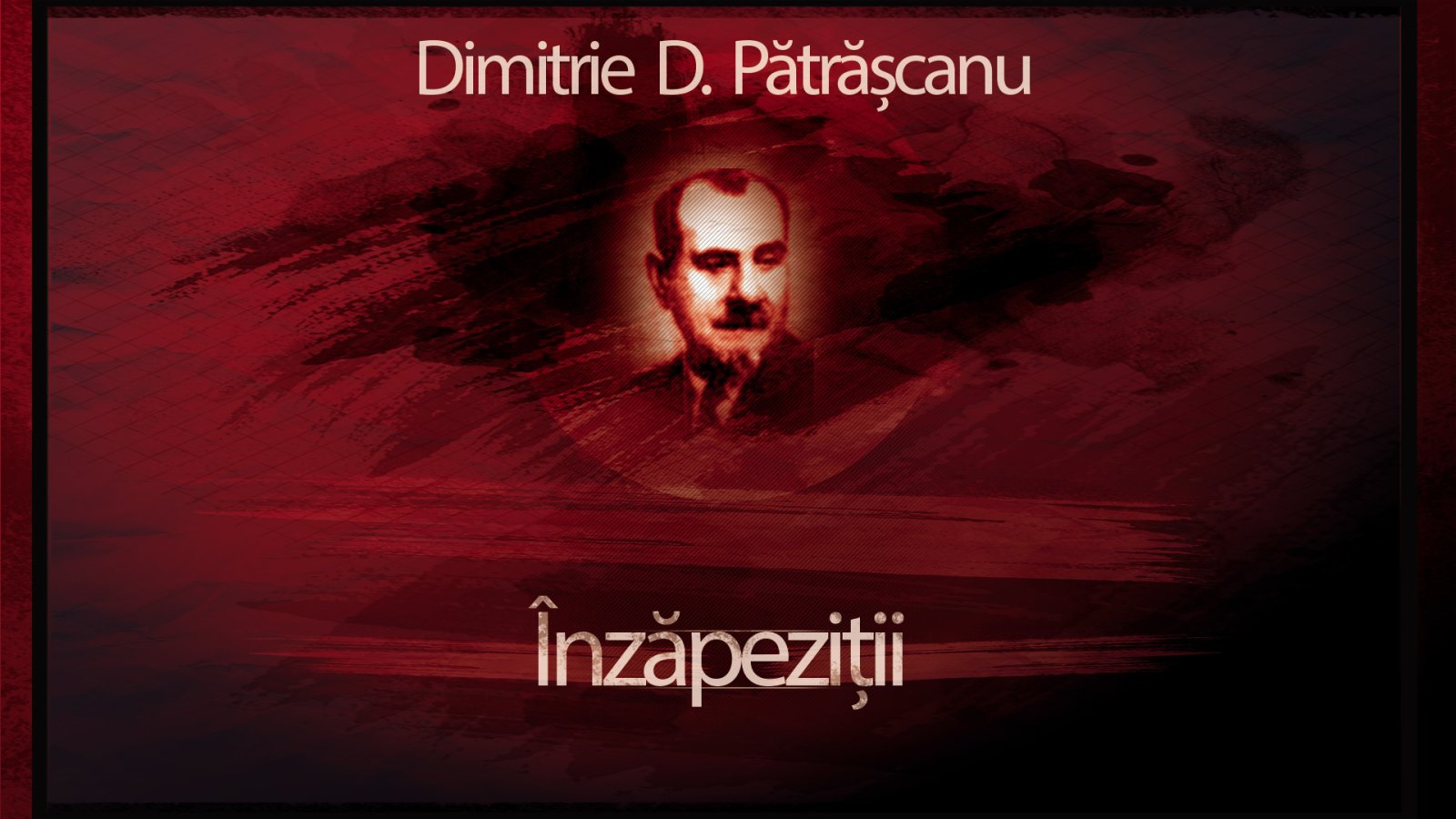 Afișul pentru Inzapezitii
