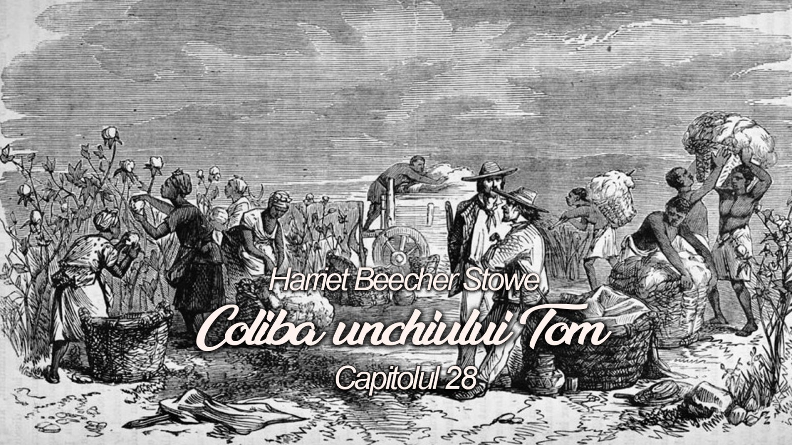 Afișul pentru Coliba unchiului Tom - Capitolul 28