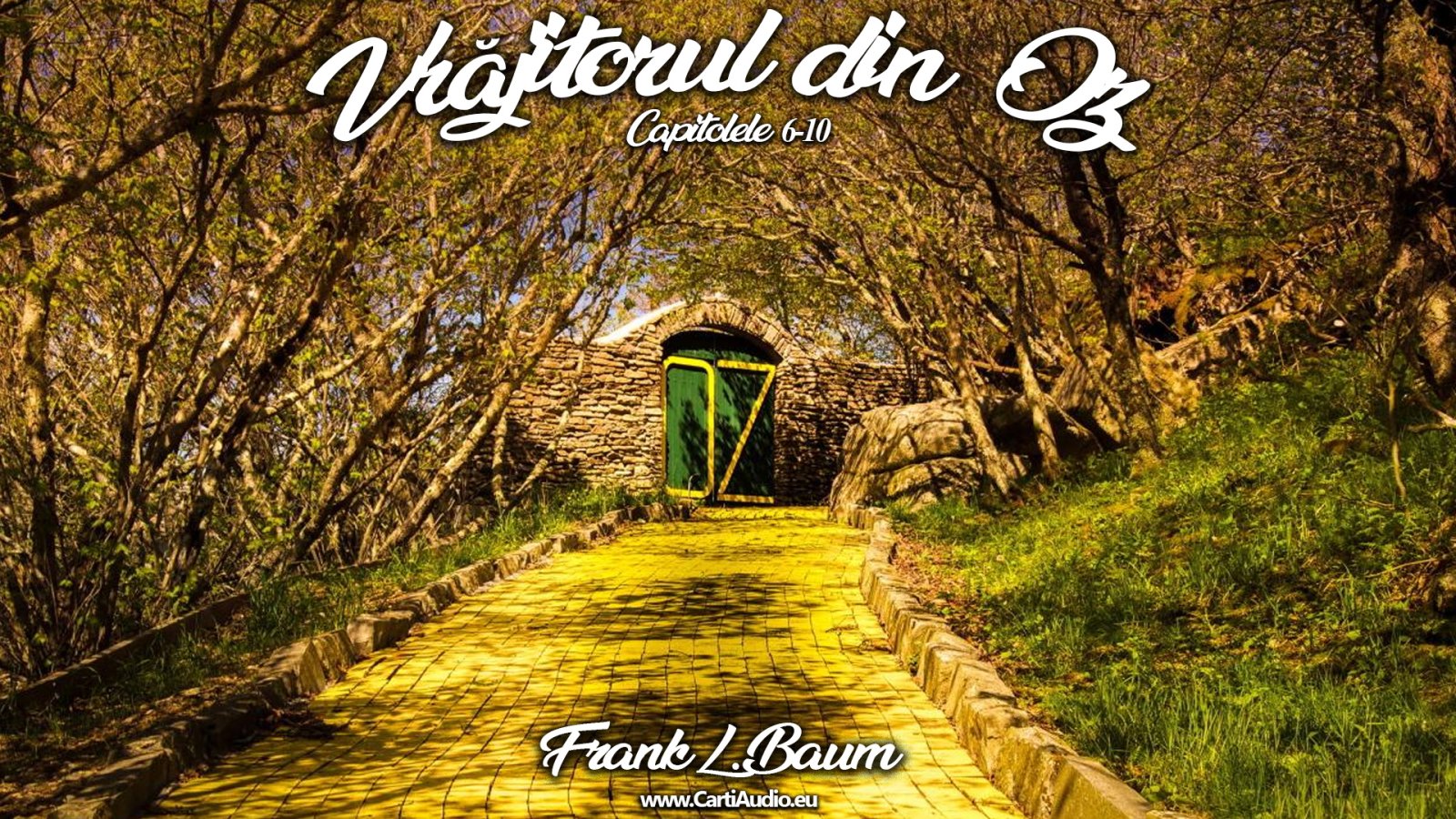 Afișul pentru Vrajitorul din OZ - Capitolele 6-10