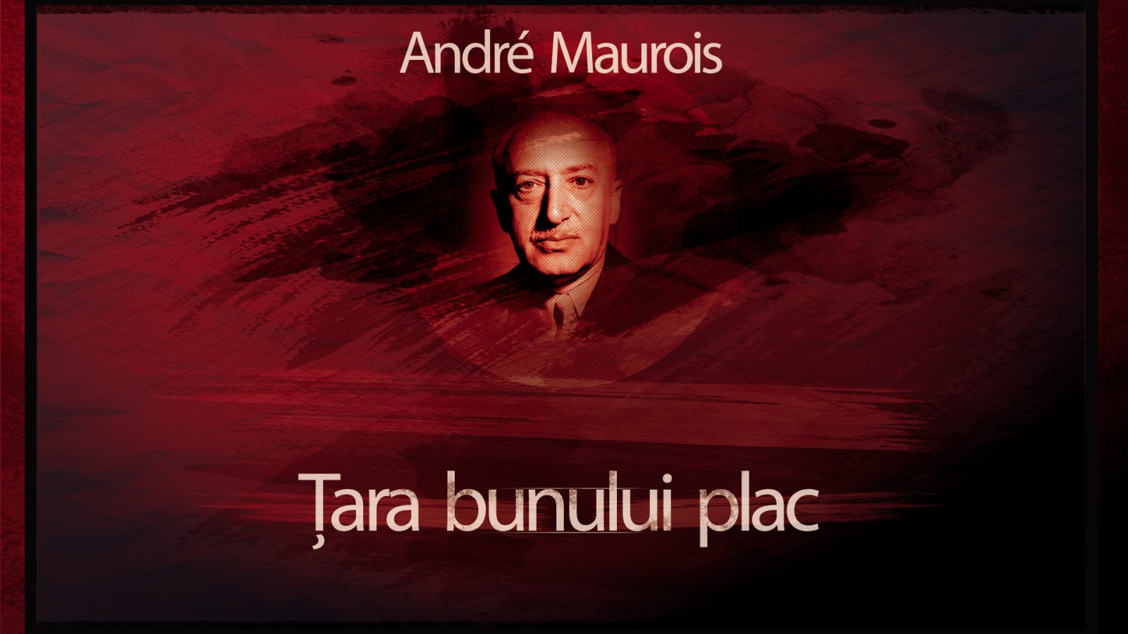 Afișul pentru Tara bunului plac