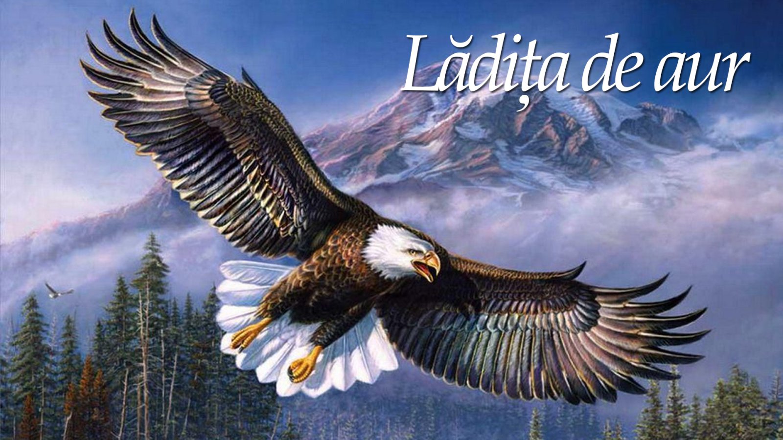 Afișul pentru Ladita de aur