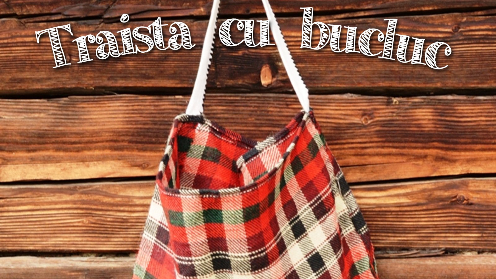 Afișul pentru Traista cu bucluc