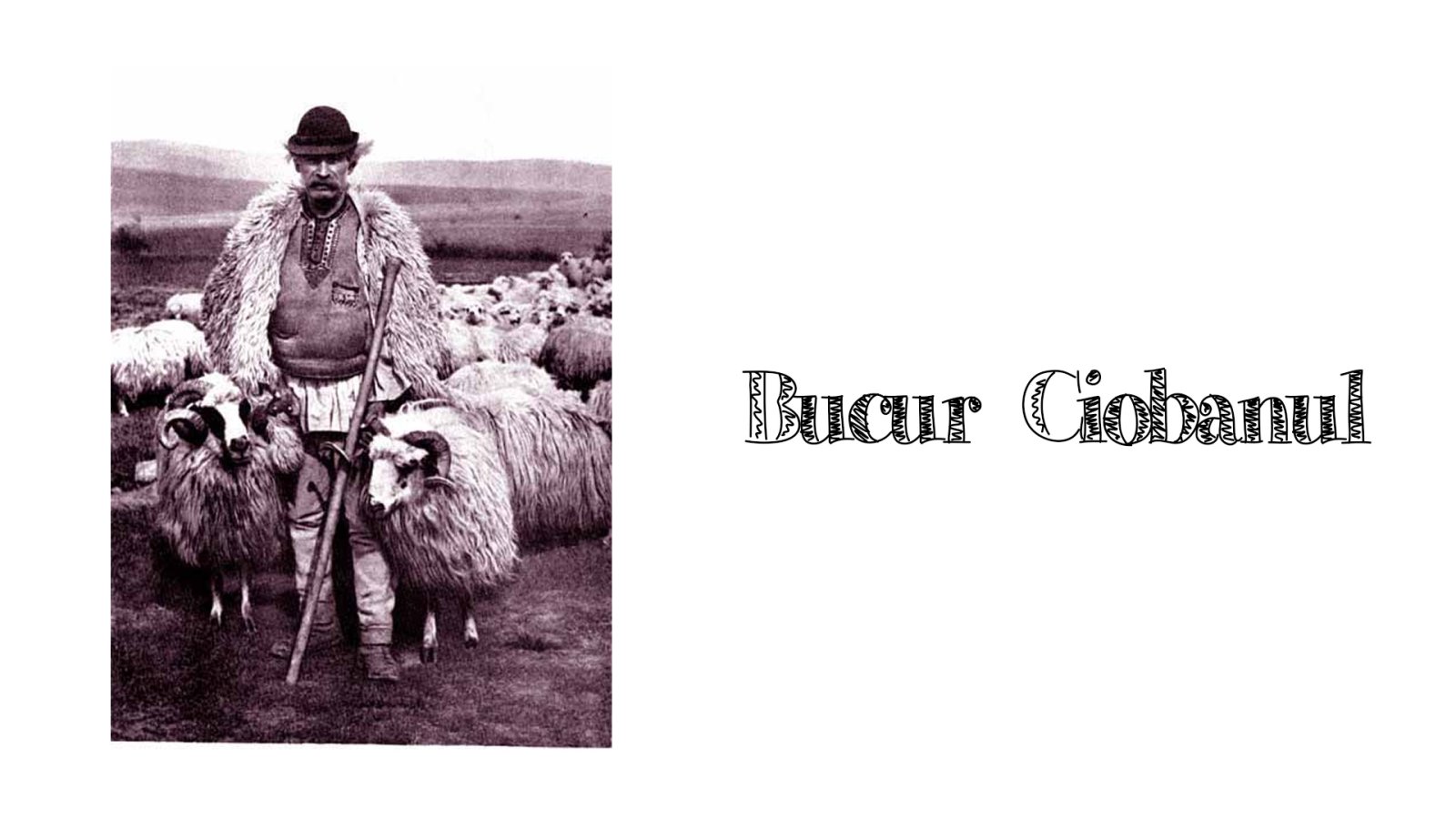 Afișul pentru Bucur Ciobanul