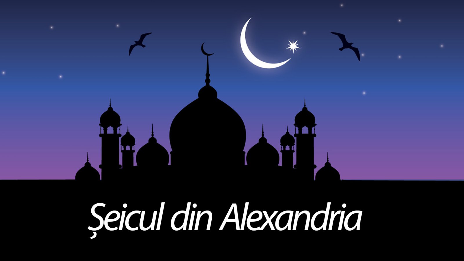 Afișul pentru Seicul din Alexandria - 1001 de Nopti