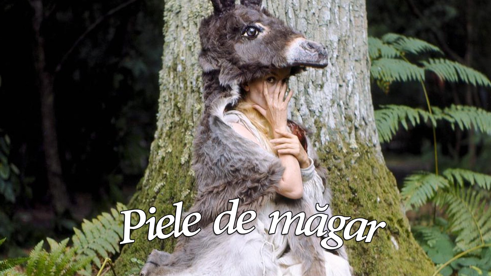 Afișul pentru Piele de magar