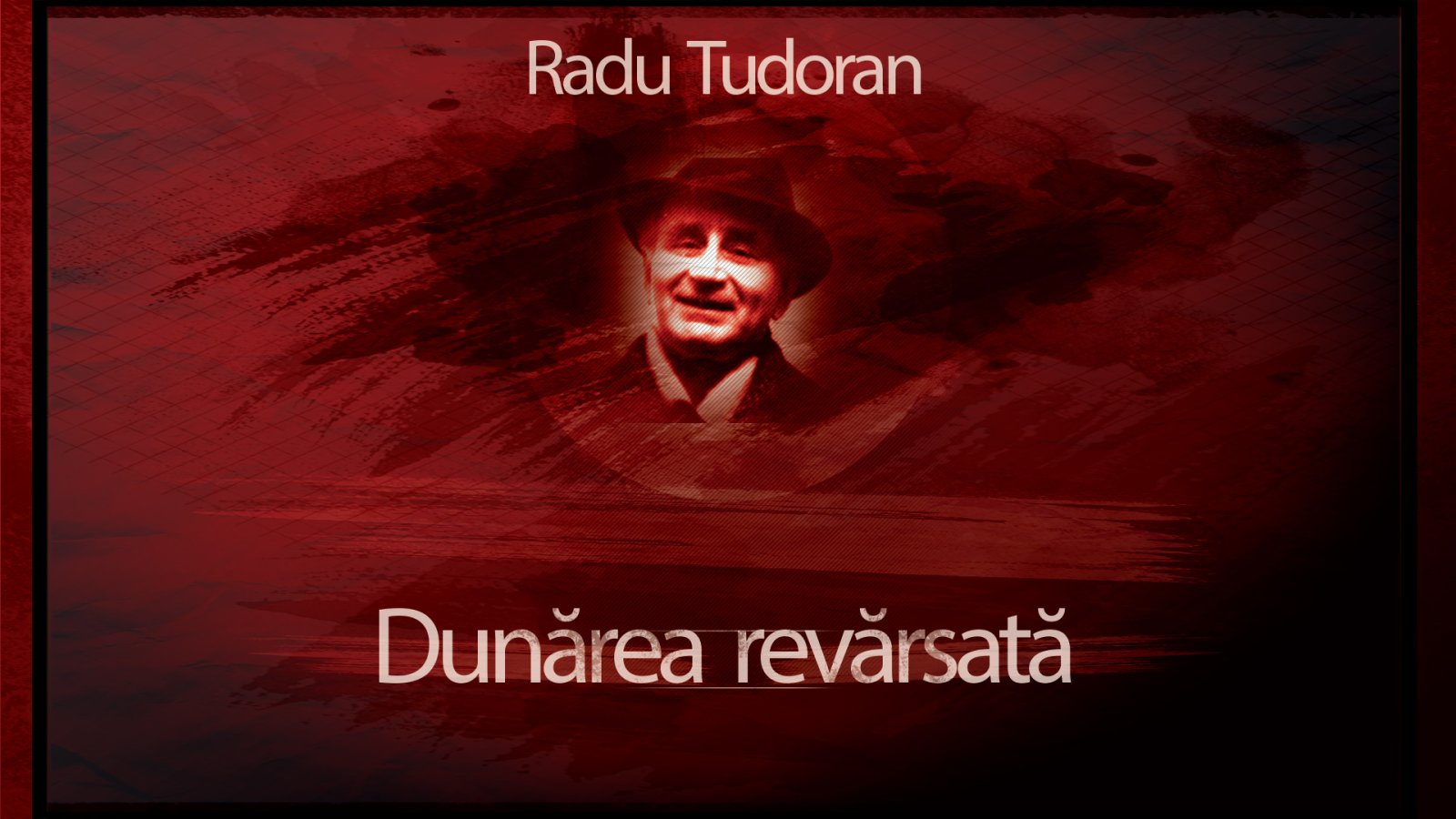 Afișul pentru Dunarea revarsata