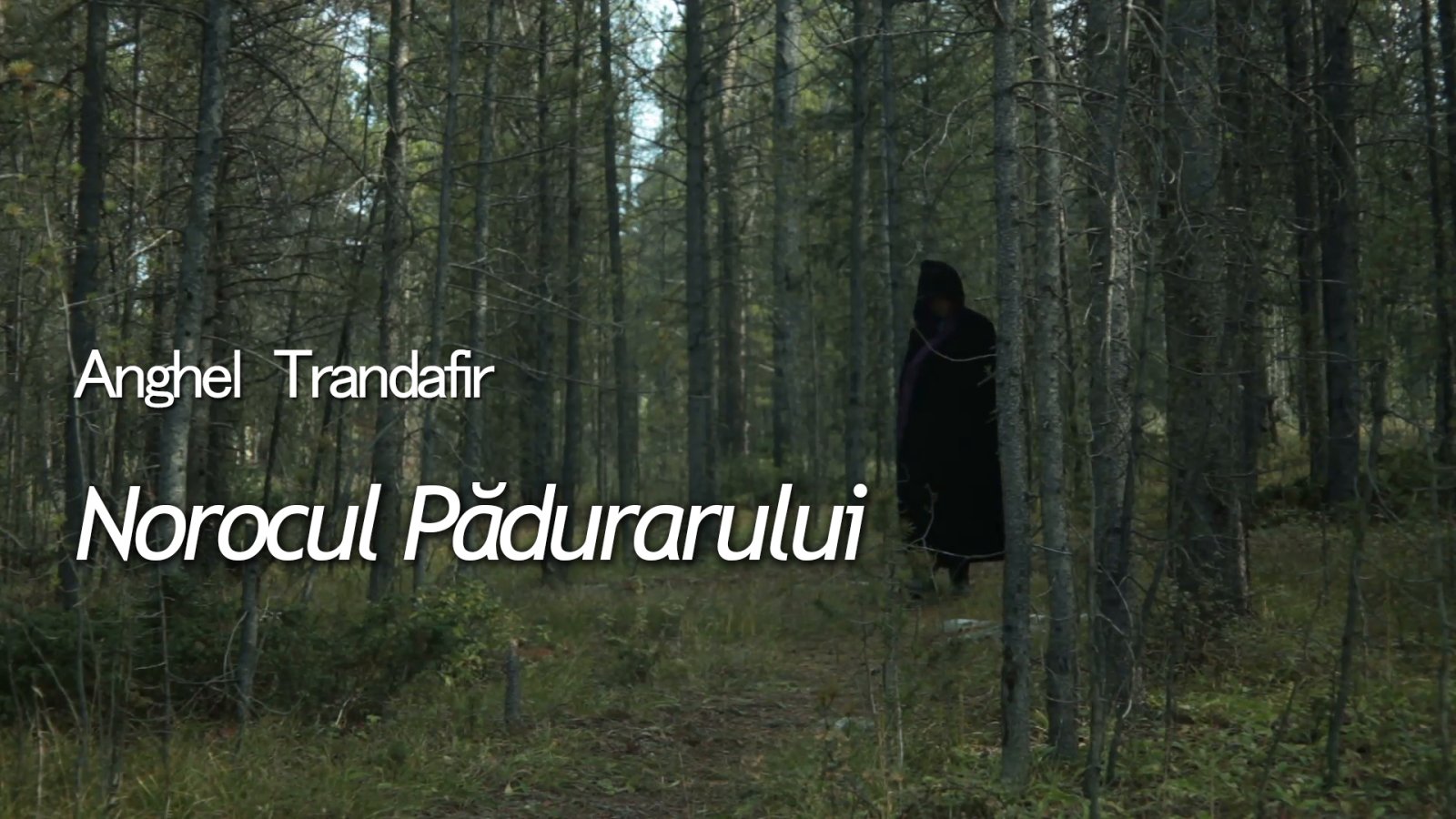 Afișul pentru Norocul padurarului