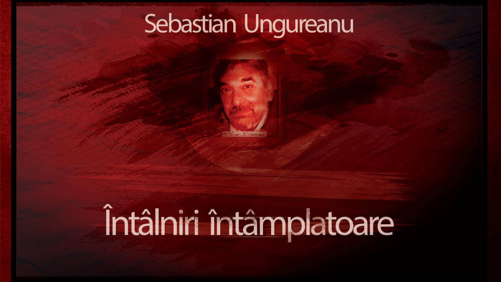 Afișul pentru Intalniri intamplatoare