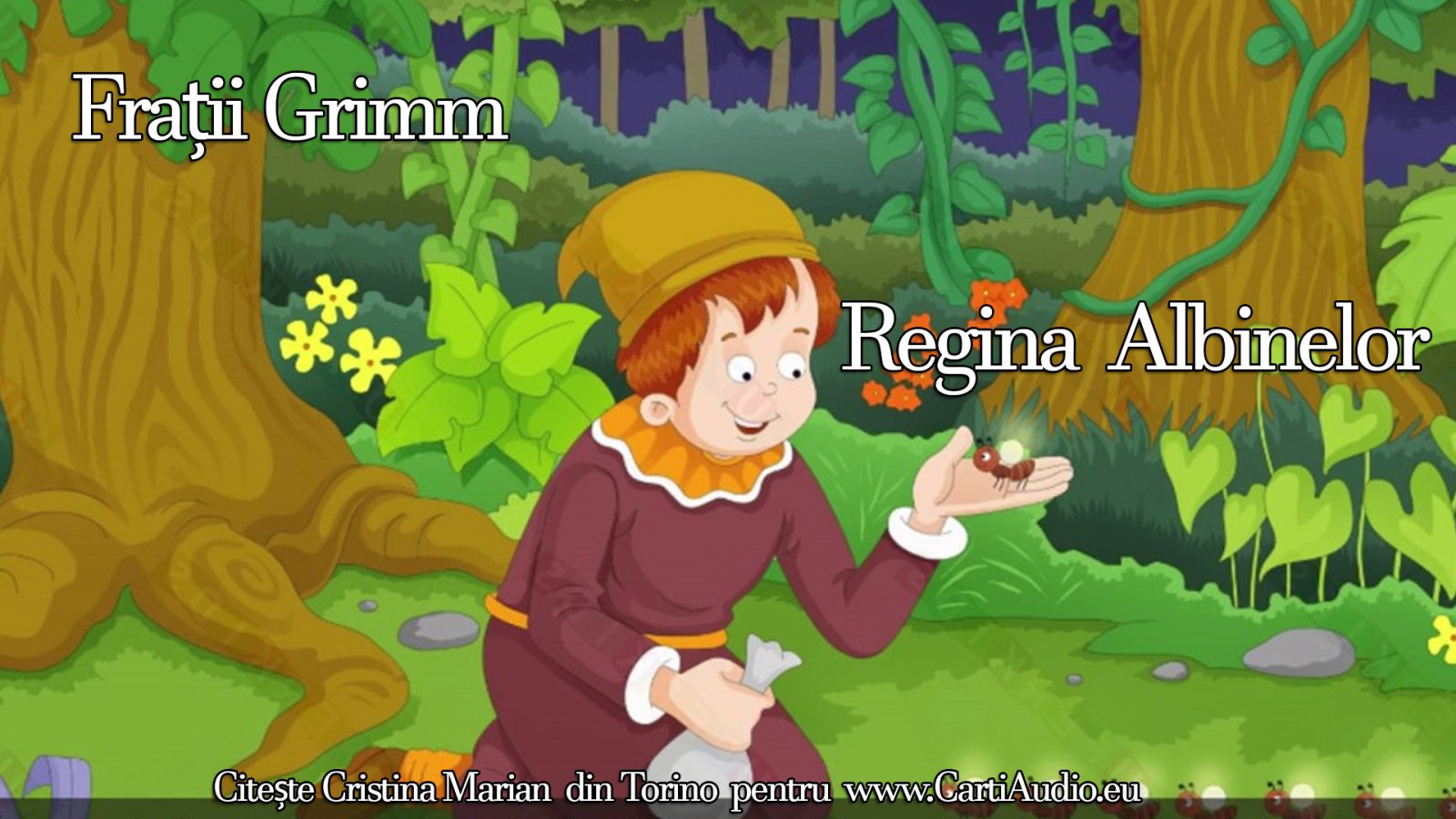 Afișul pentru Regina albinelor