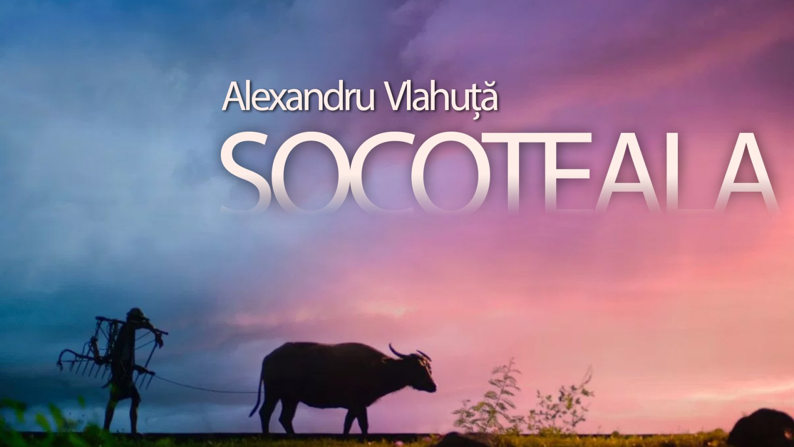 Afișul pentru Socoteala