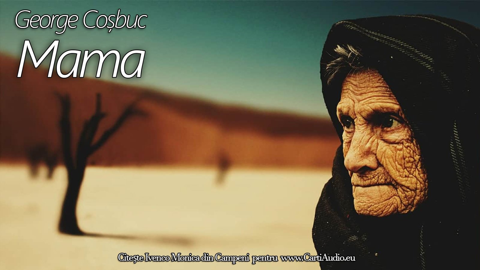 Afișul pentru Mama
