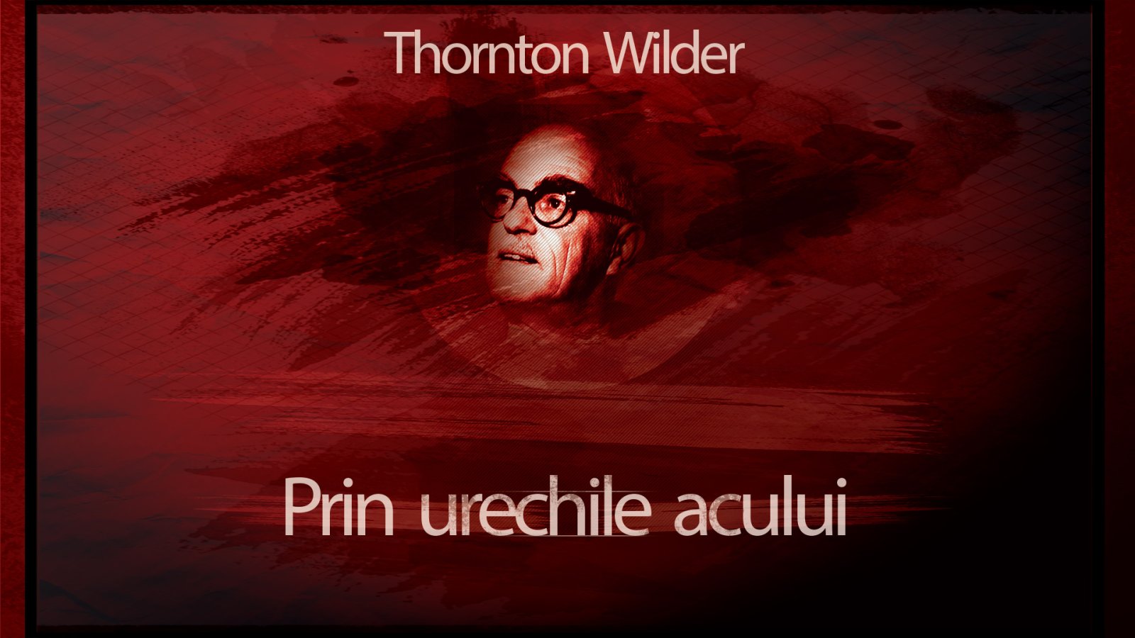 Afișul pentru Prin urechile acului