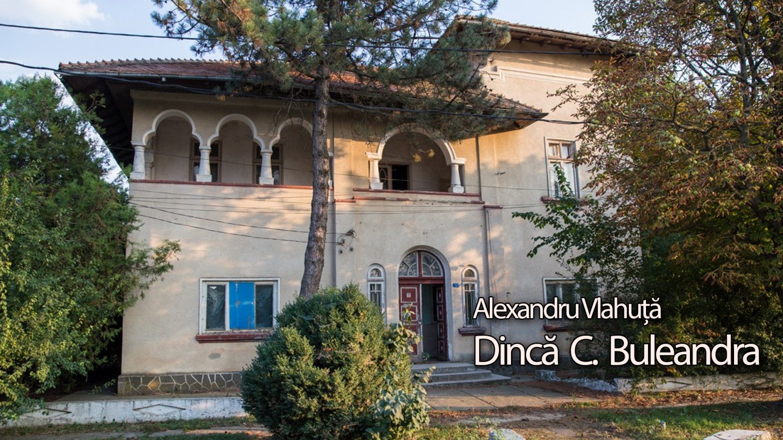 Afișul pentru Dinca C. Buleandra