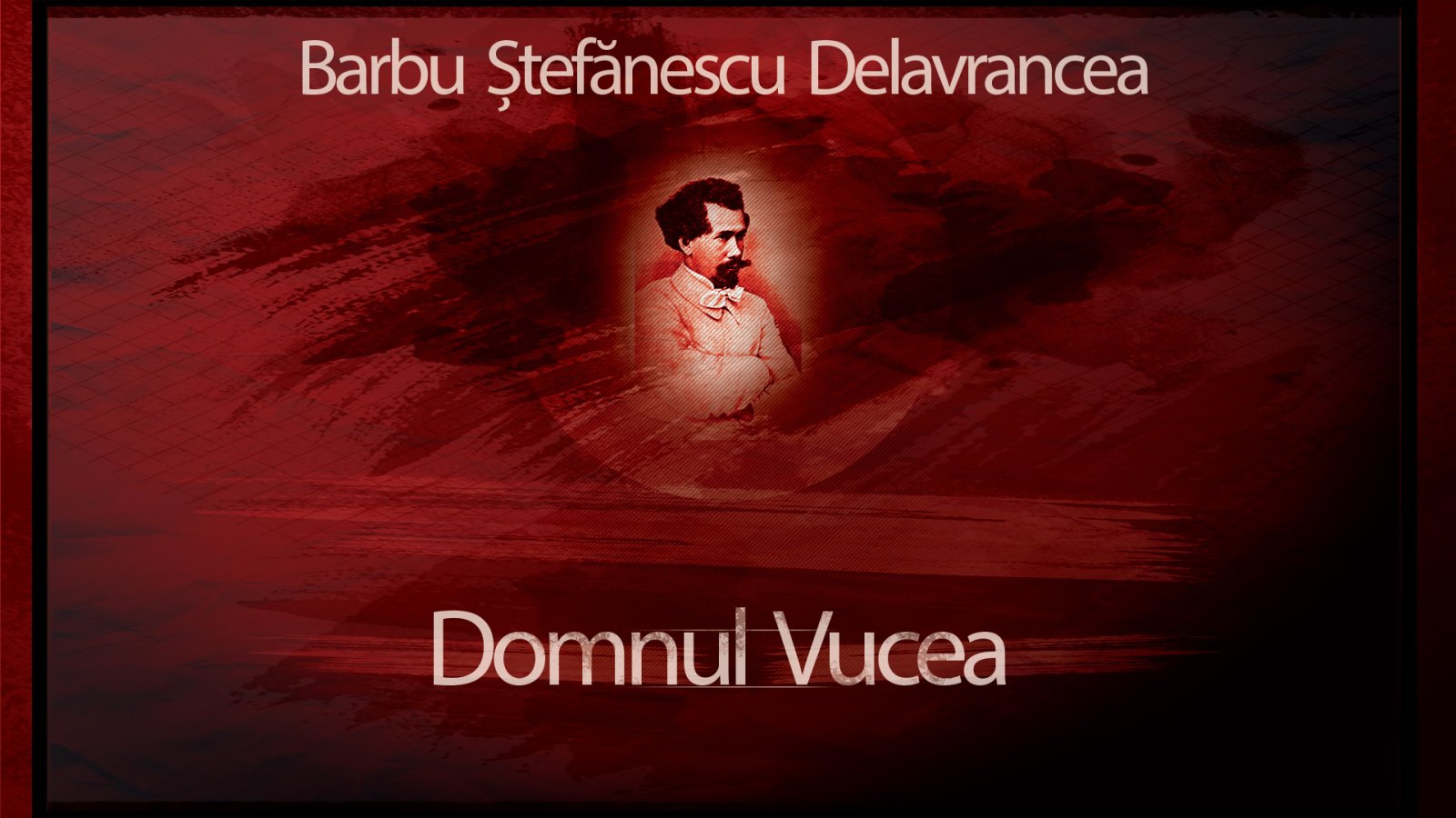 Afișul pentru Domnul Vucea