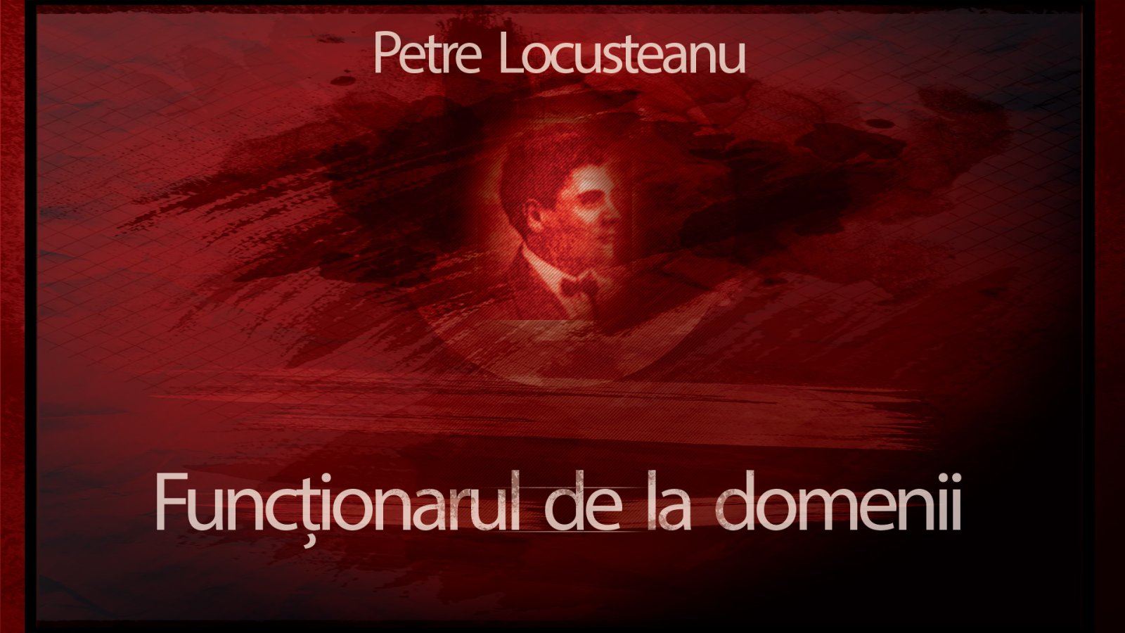 Afișul pentru Functionarul de la Domenii