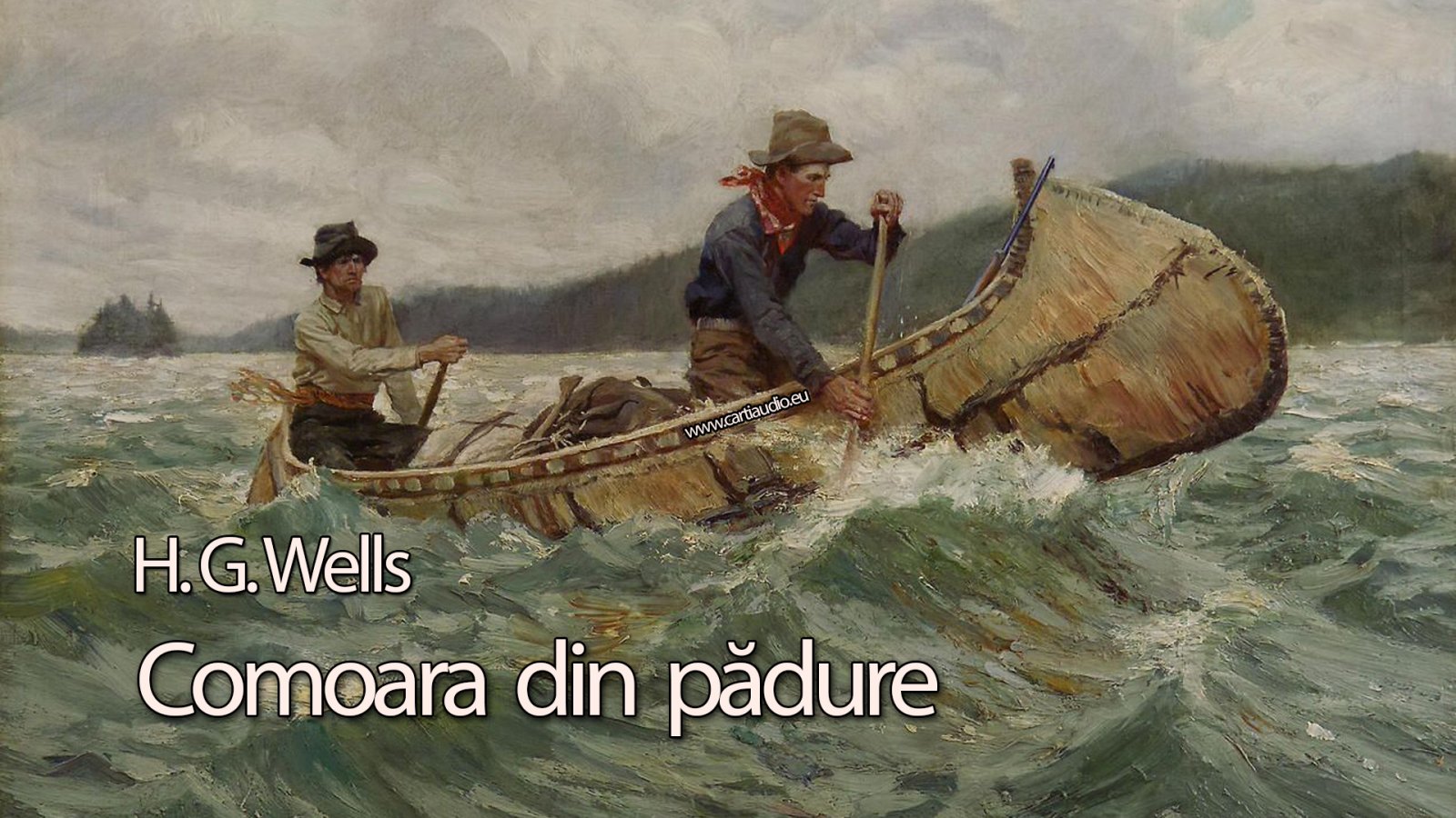 Afișul pentru Comoara din padure
