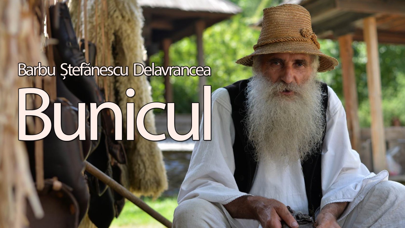 Afișul pentru Bunicul