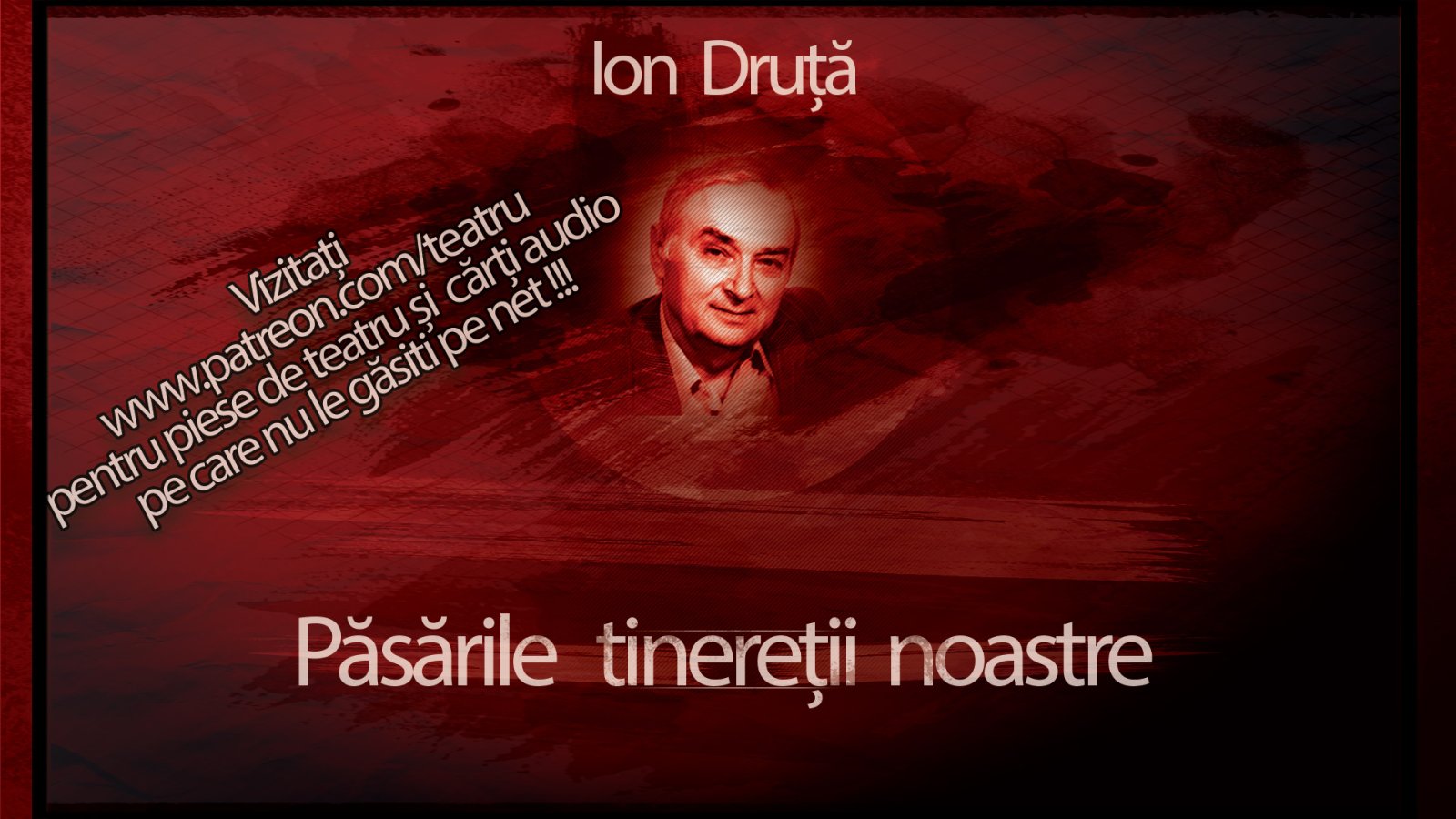 Afișul pentru Pasarile tineretii noastre