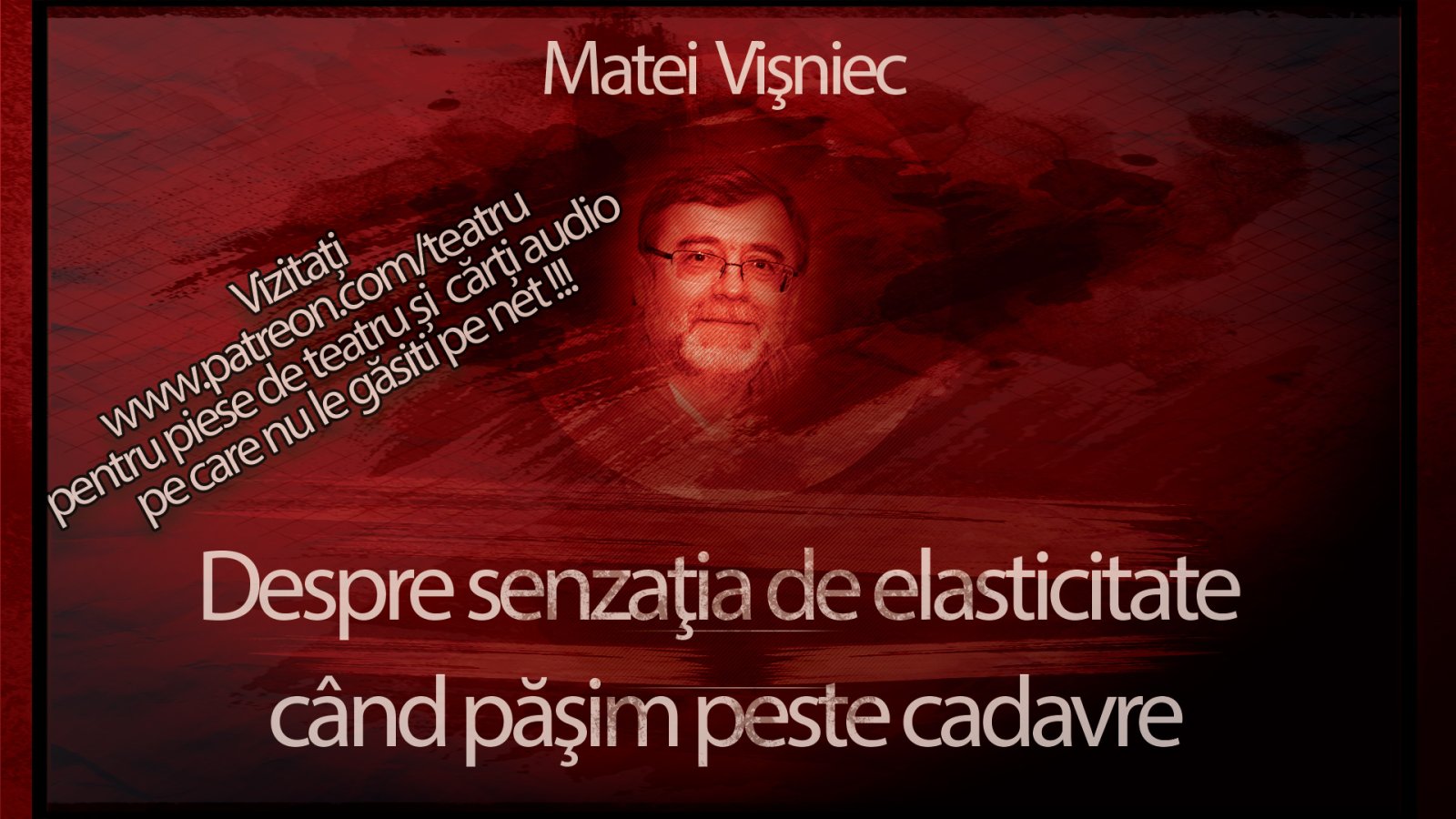 Afișul pentru Despre senzatia de elasticitate cand pasim peste cadavre