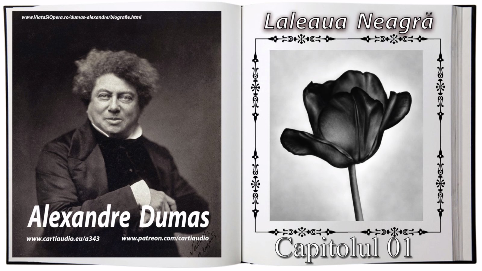 Afișul pentru Laleaua neagra - Capitolul 01