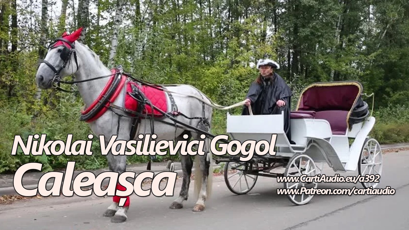 Afișul pentru Caleasca