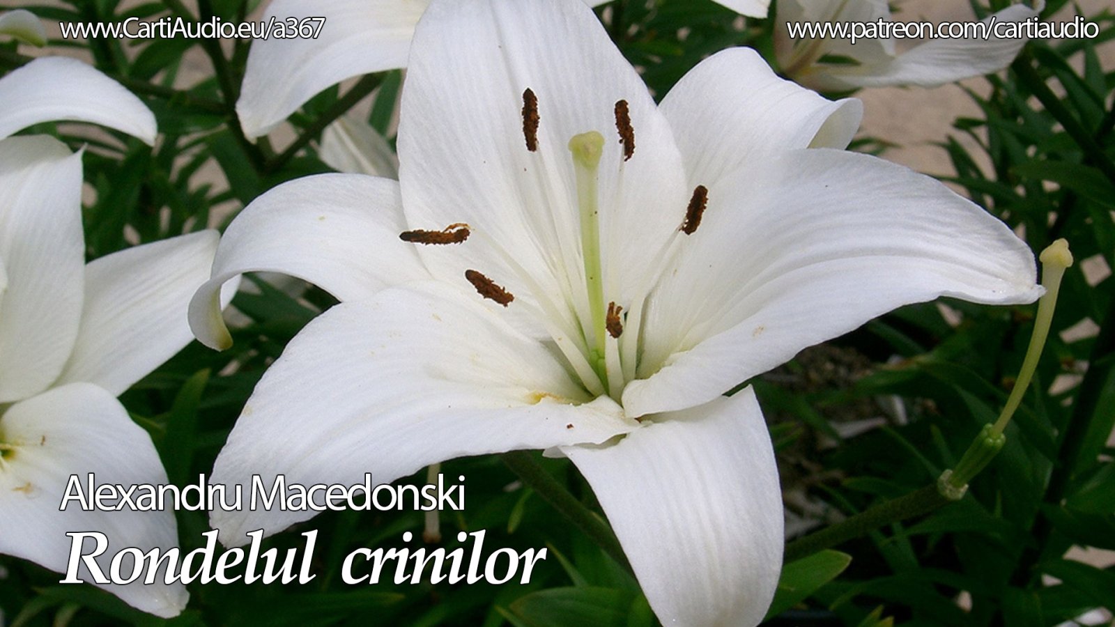 Afișul pentru Rondelul crinilor