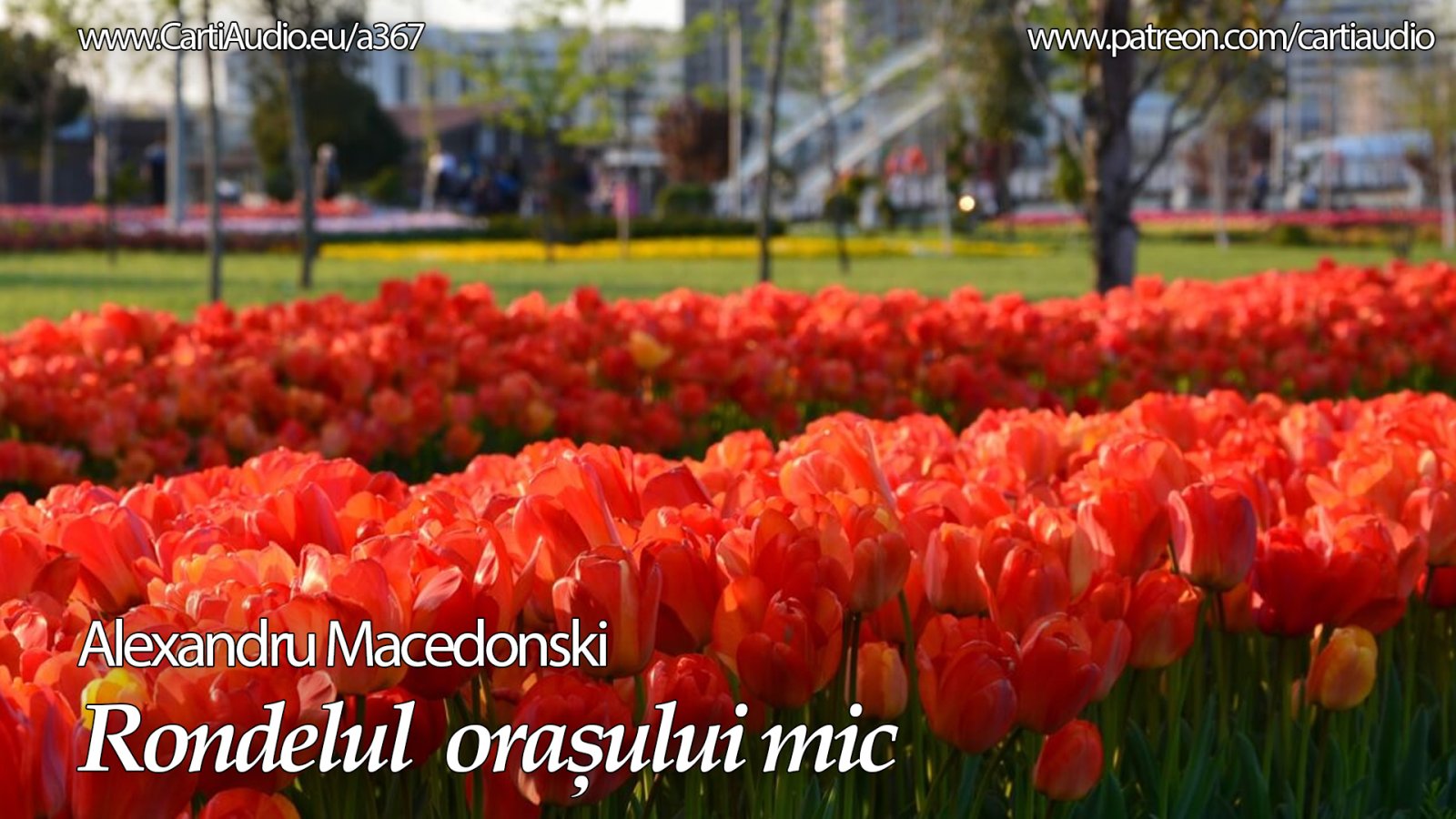 Afișul pentru Rondelul orasului mic