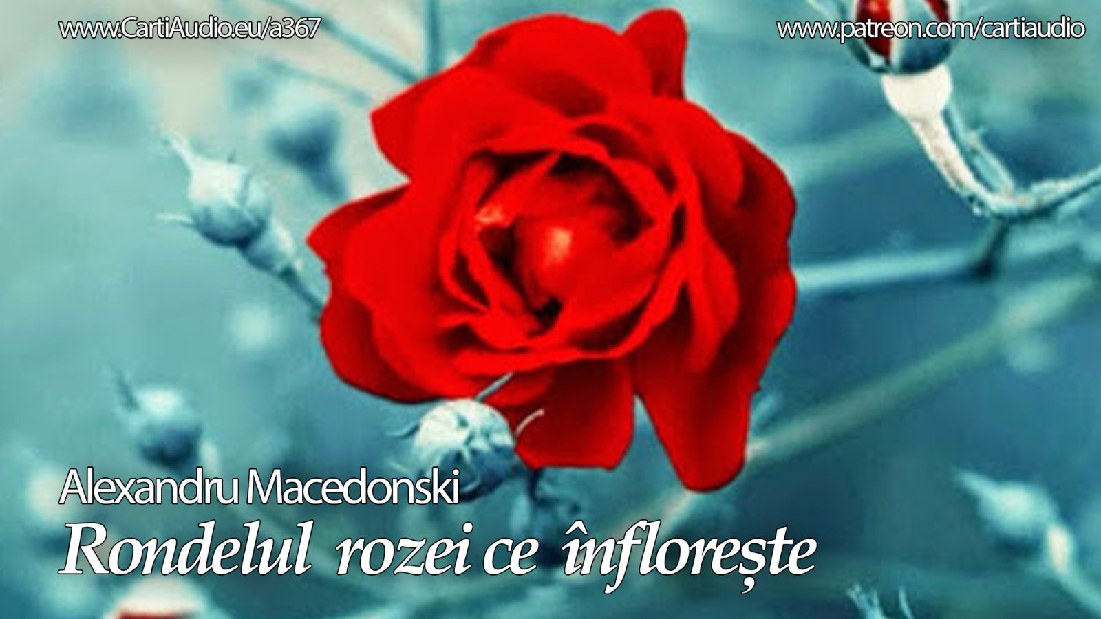 Afișul pentru Rondelul rozei ce infloreste