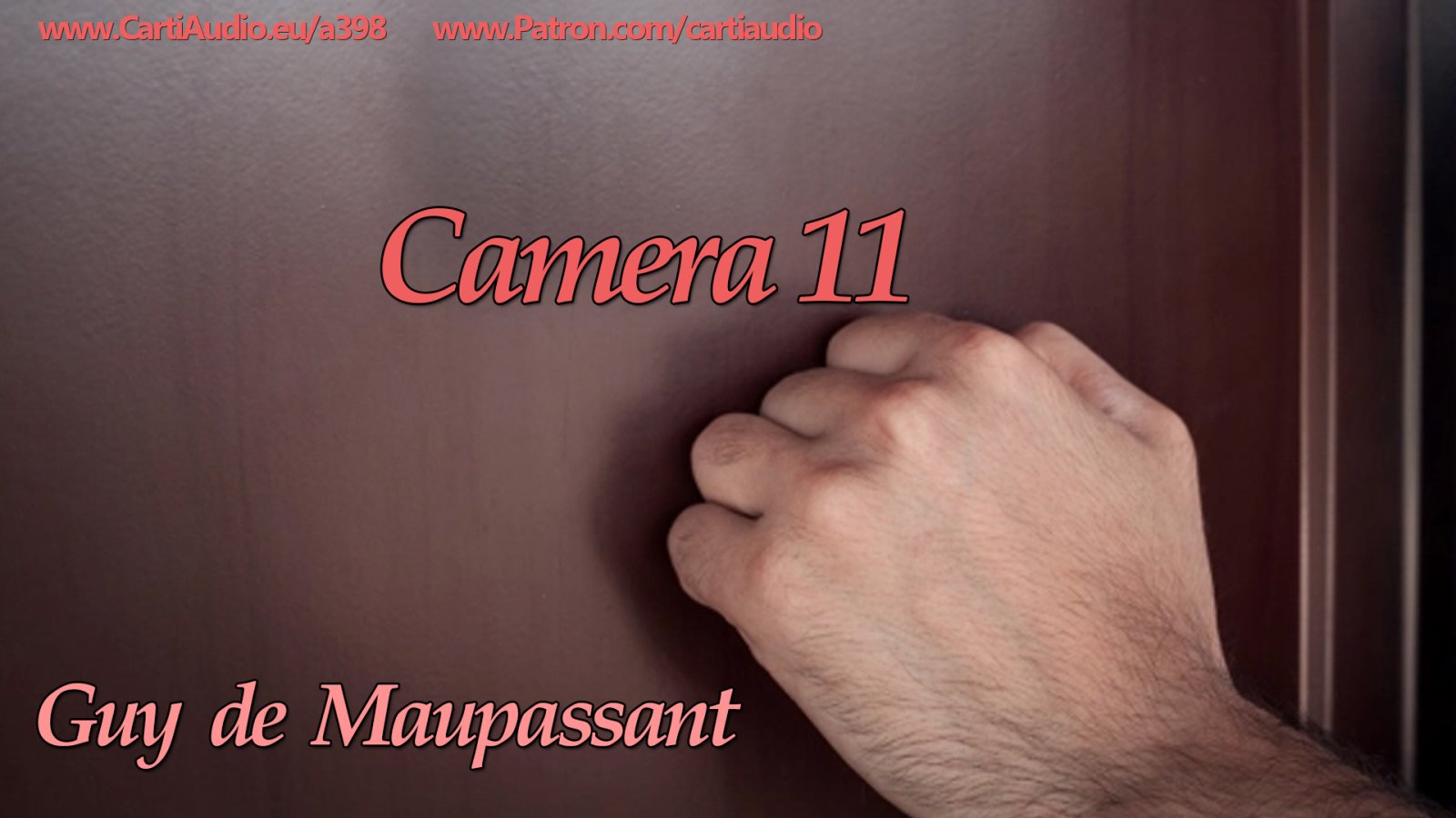 Afișul pentru Camera 11
