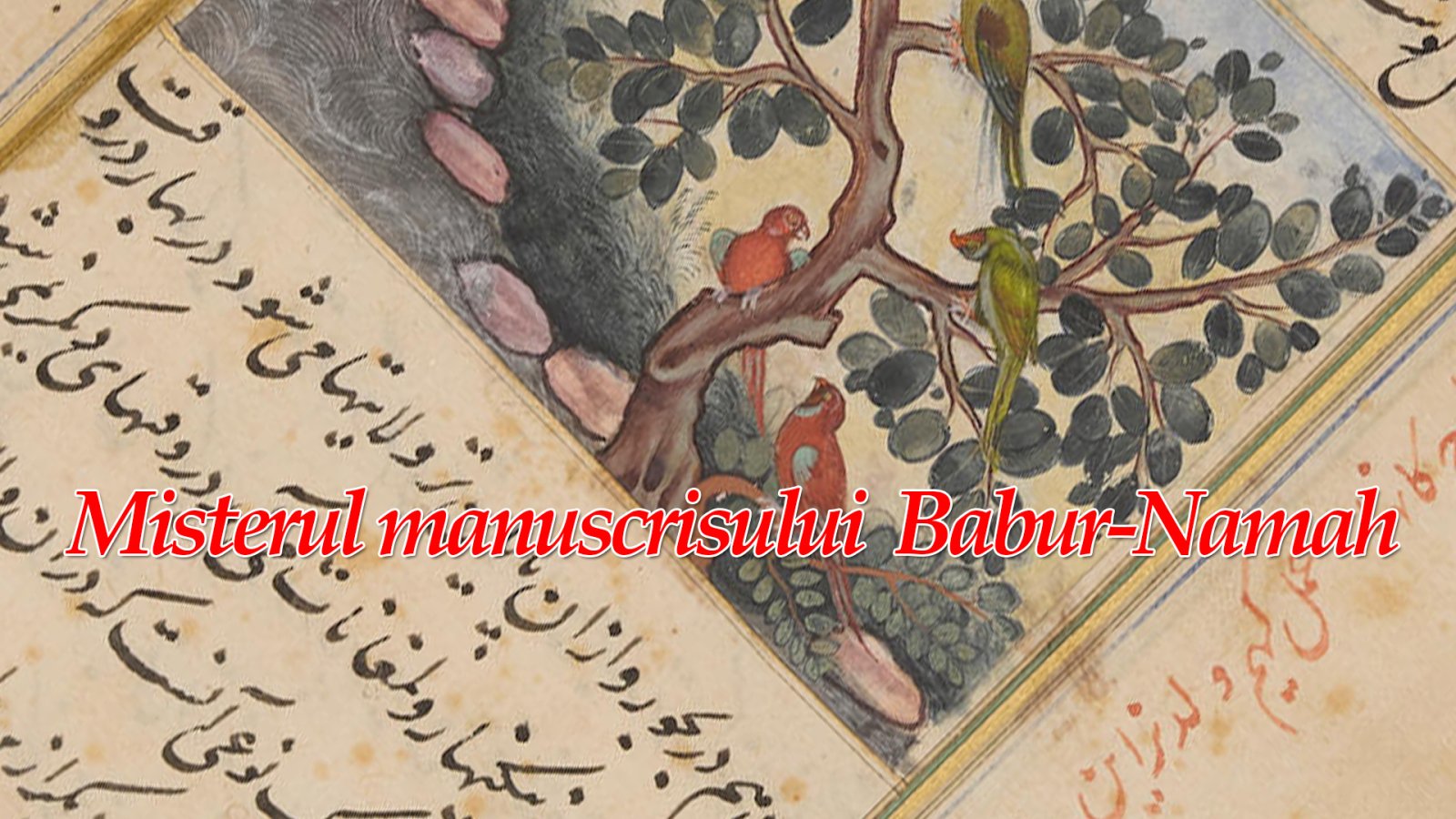 Afișul pentru Misterul manuscrisului Babur-Namah