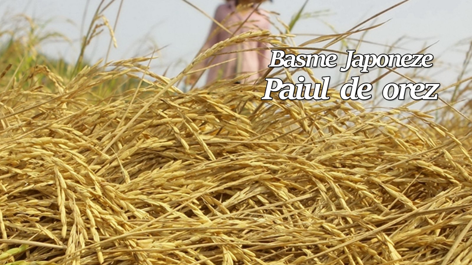 Afișul pentru Paiul de orez