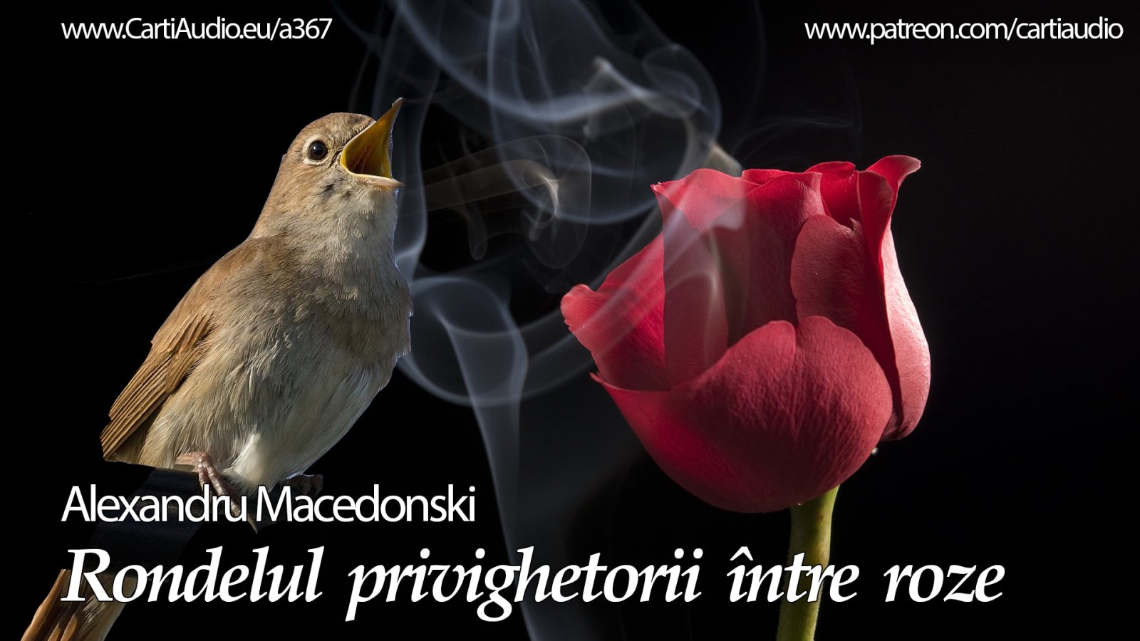 Afișul pentru Rondelul privighetorii