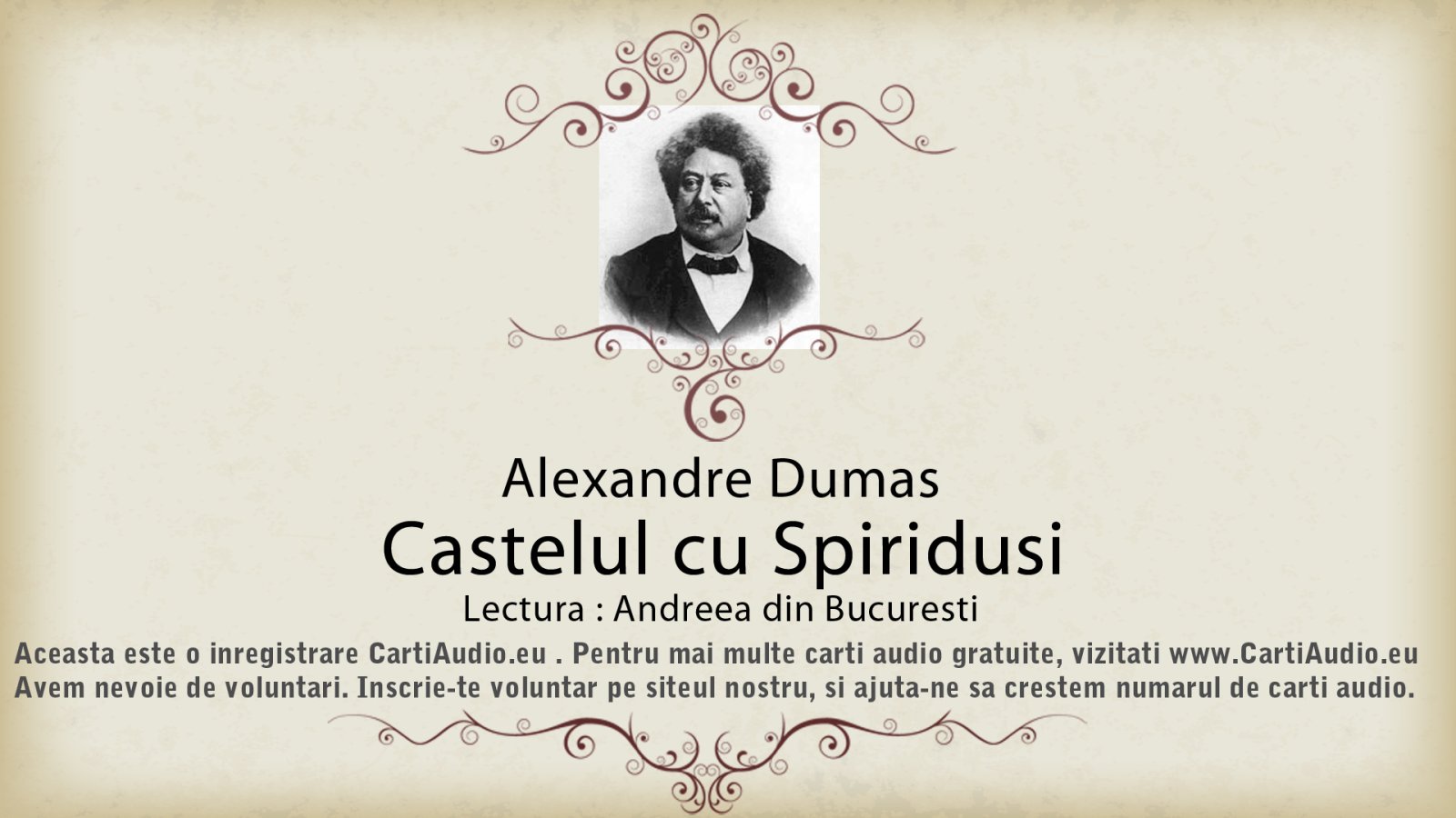 Afișul pentru Castelul cu spiridusi