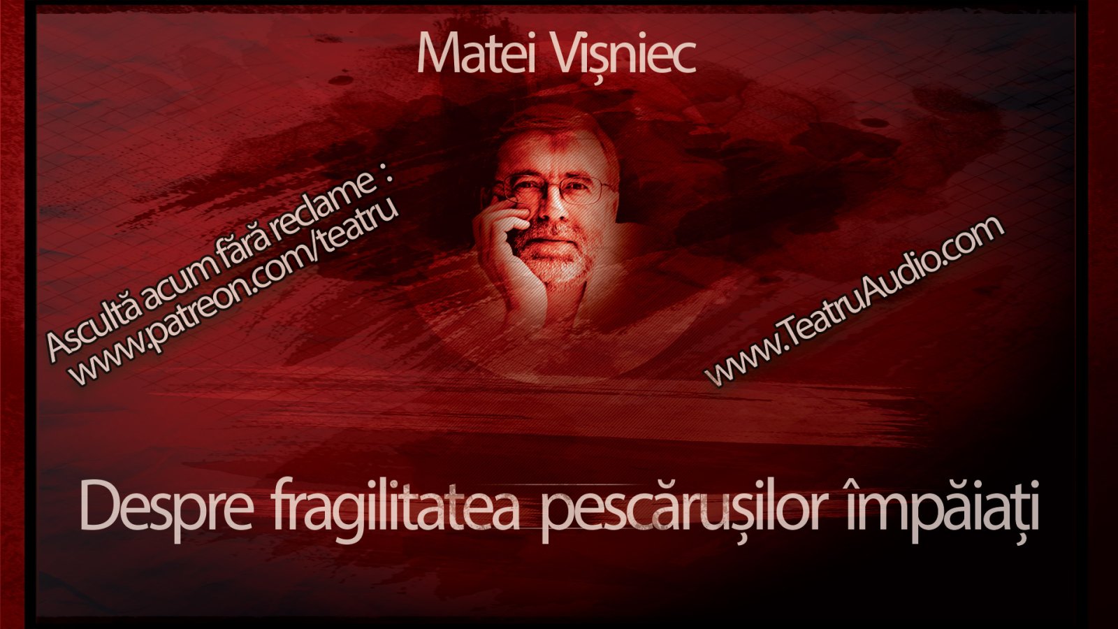 Afișul pentru Despre fragilitatea pescarusilor impaiati
