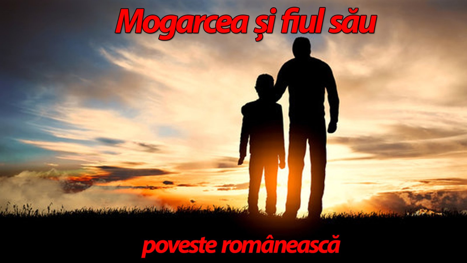 Afișul pentru Mogarcea si fiul sau