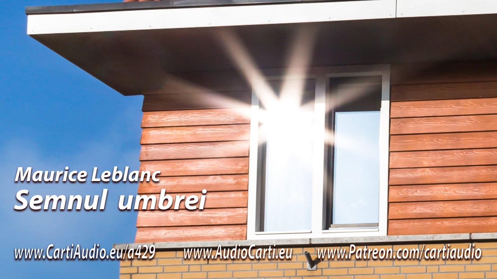 Afișul pentru Semnul umbrei