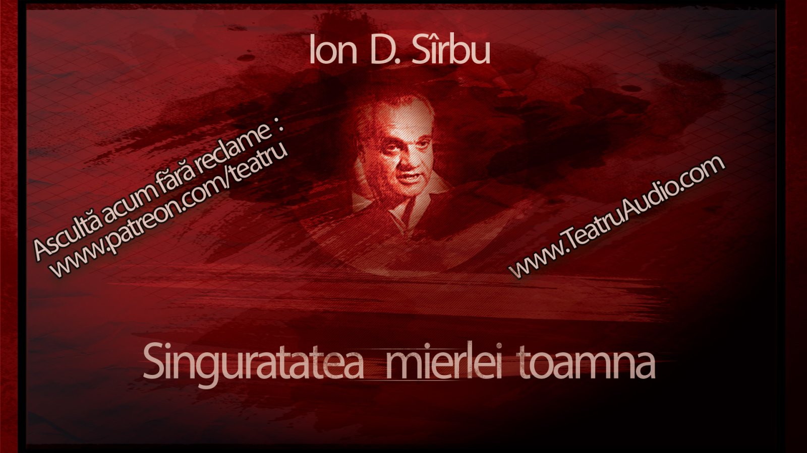 Afișul pentru Singuratatea mierlei toamna