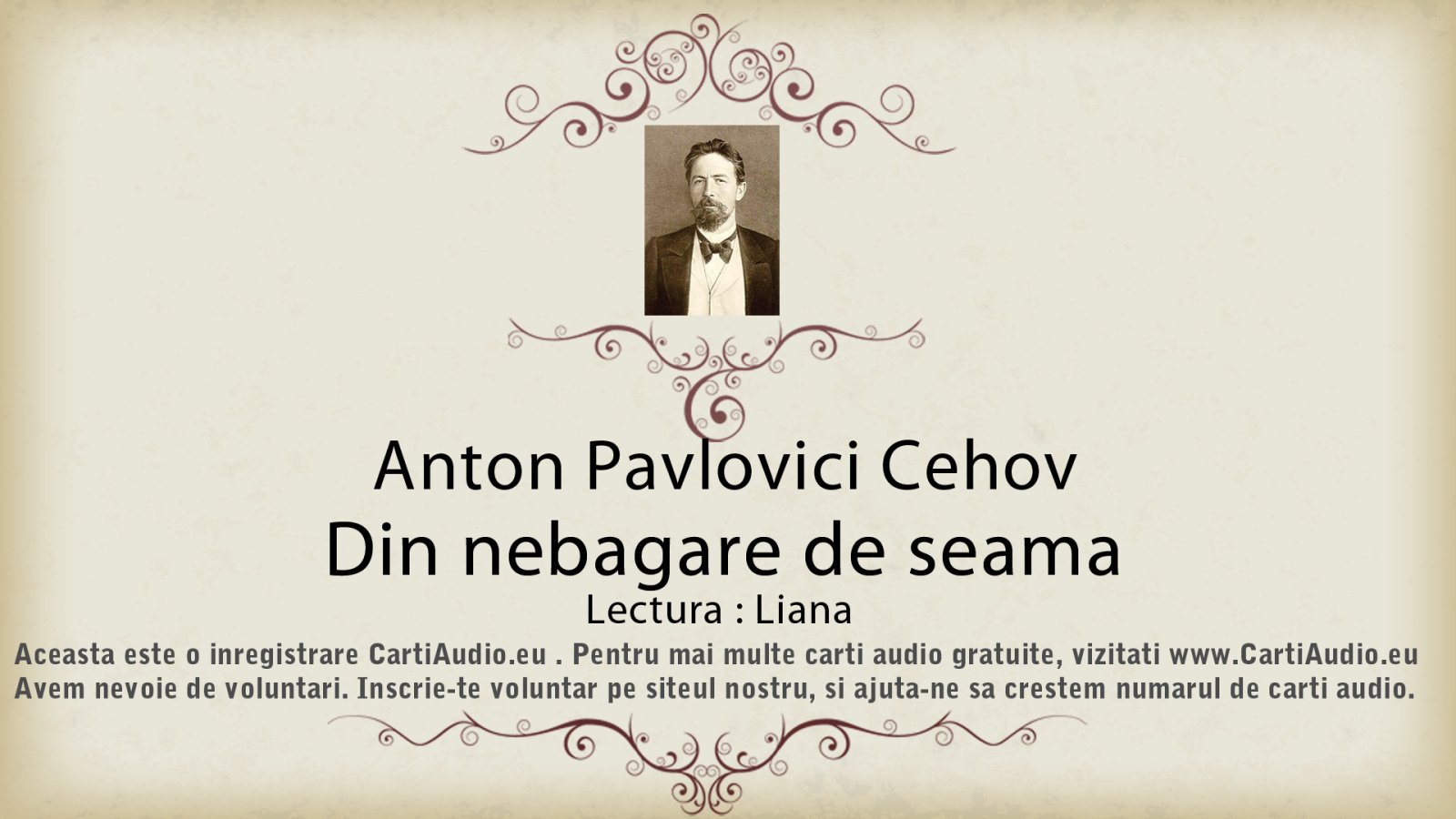 Afișul pentru Din nebagare de seama